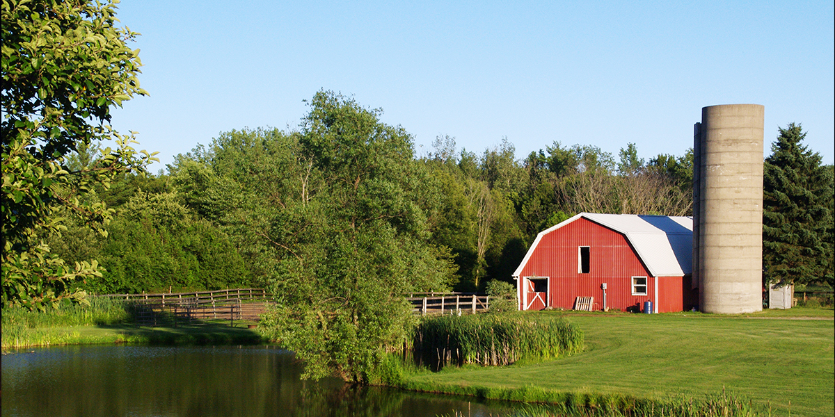 How to Get Rid of Rats and Mice in Your Barn