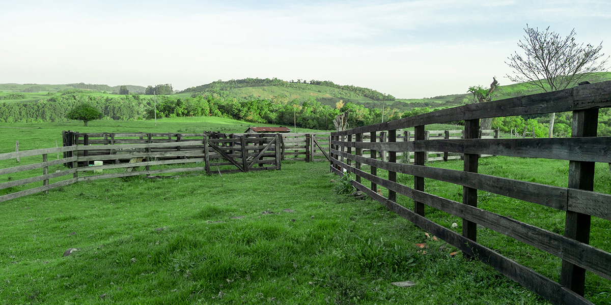 Range & Pasture Range & Pasture
