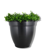 Ovi-Planter Mosquito Trap