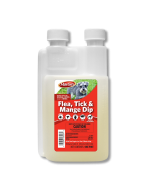 Martin's Flea
