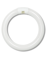 Synergetic Circline Bulb - 22 WATT