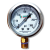 Solutions 0-300 Pressure Gauge