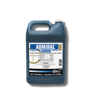 Admiral Lake Colorant Dye