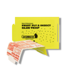 Catchmaster Fruit Fly Glue Board 100FF