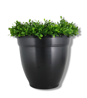 Ovi-Planter Mosquito Trap