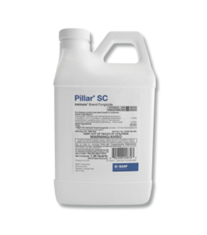 Pillar SC Intrinsic Brand Fungicide