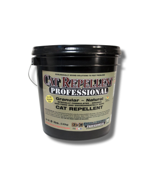 Cat Scram Professional