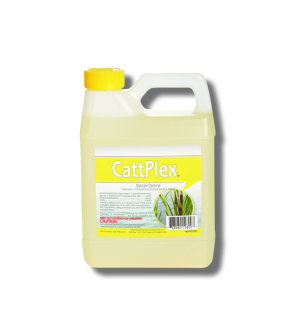 Catt Plex