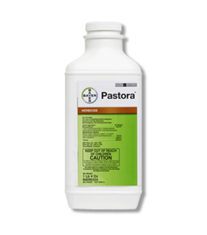 Pastora Herbicide