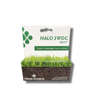Halo 5 WDG Select