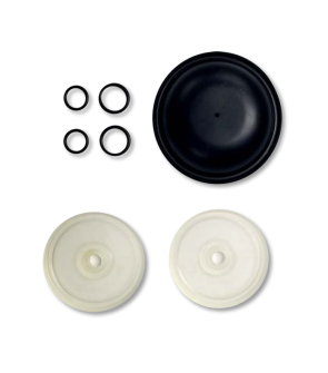 D-252 Diaphragm Repair Kit