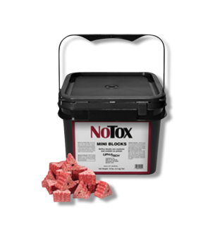 NoTox Mini Blocks