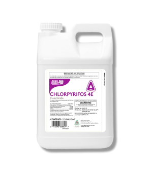 Chlorpyrifos 4E Insecticide