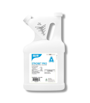 Strobe Pro SC Fungicide