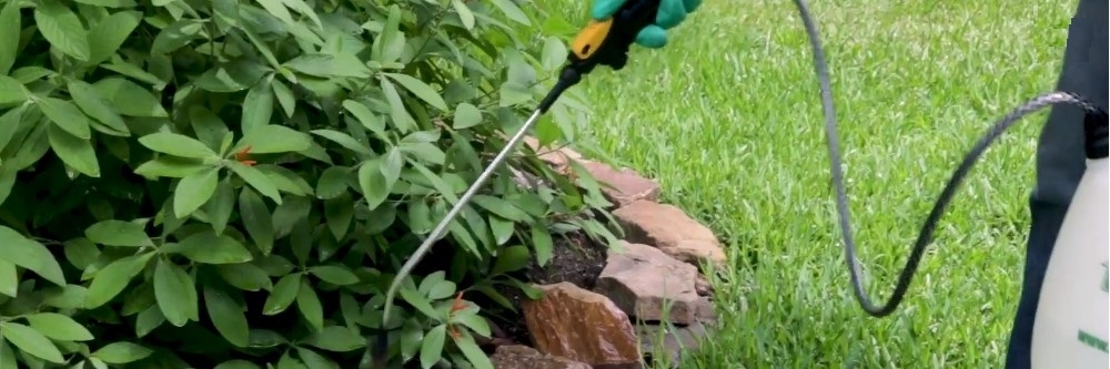 Spraying Insecticide Outdoors