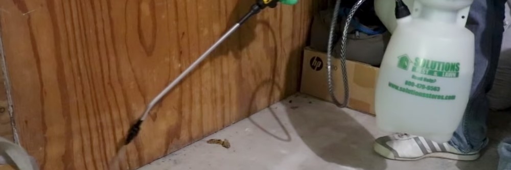 applying pesticide