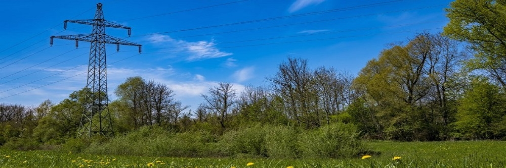 Where to apply herbicide
