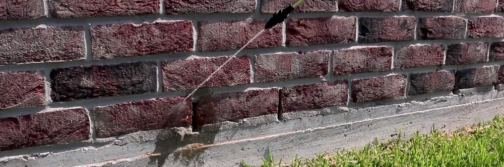 Where to spray Bifen XTS