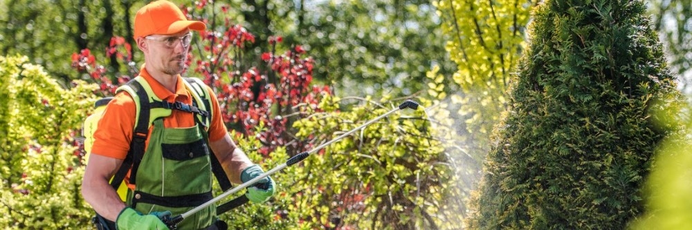 Applying A Pesticide