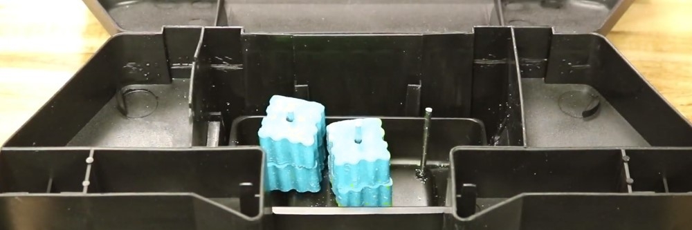 Bait in Station Bait in Station