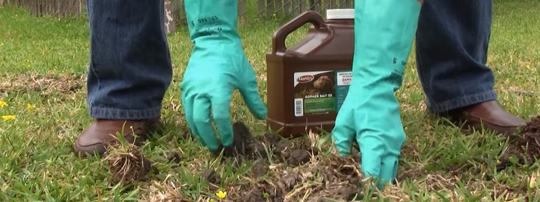 Gopher Tunnel Gopher Tunnel Bait Application
