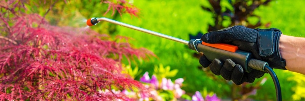 Spraying Shrub Spraying Shrub