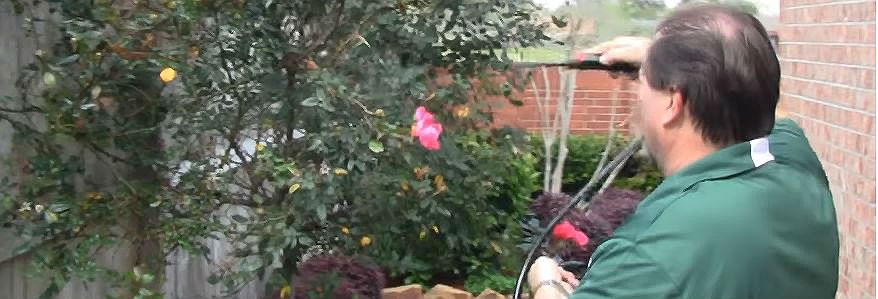 Spraying EcoVia