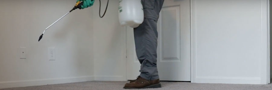 Tekko Trio spray indoors Indoor application of Tekko Trio