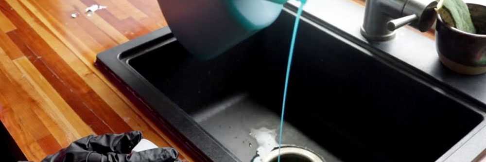 forid treatment phorid flies