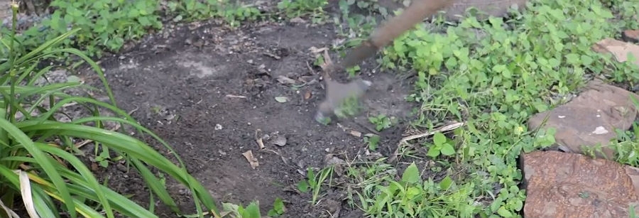 Garden hoe flowerbed Gardenhoe on flowerbed