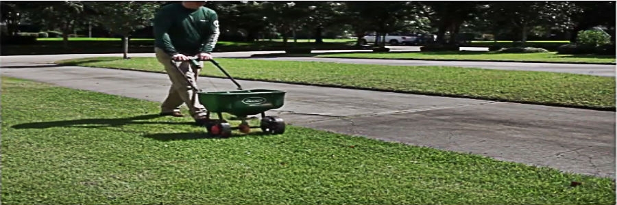 Applying fertilizer Apply fertilizer to lawn