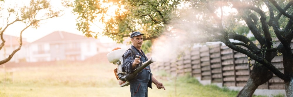 Mist blower in action