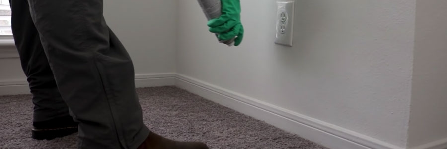 Novacide Application Roaches