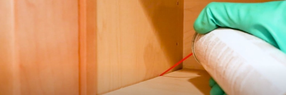 Pantry Pyrid in cracks