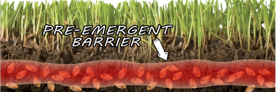 pre emergent herbicides