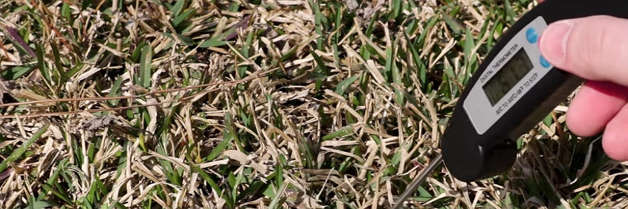 pre emergent herbicides