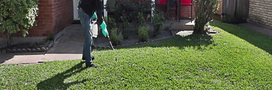 Spraying weeds