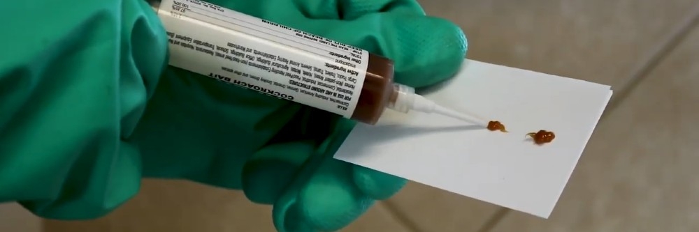 Apex index card application Apex on an index card