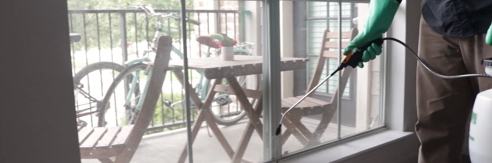 Flex 10 10 application