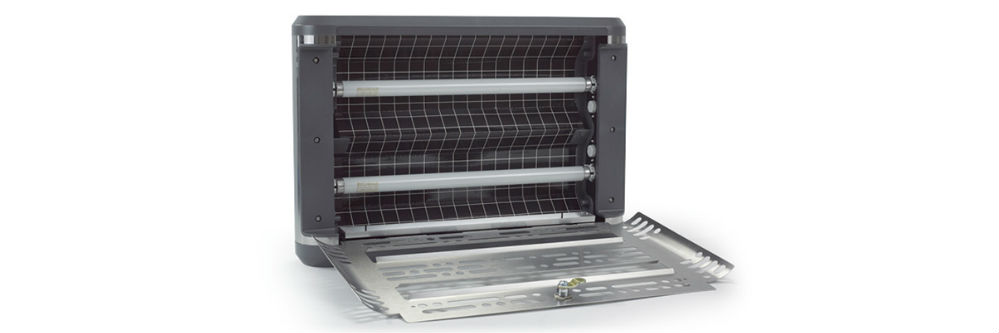 Edge FlyLight Pelsis Website