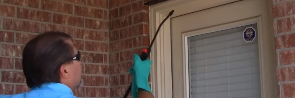 Spraying Insecticide Outdoors