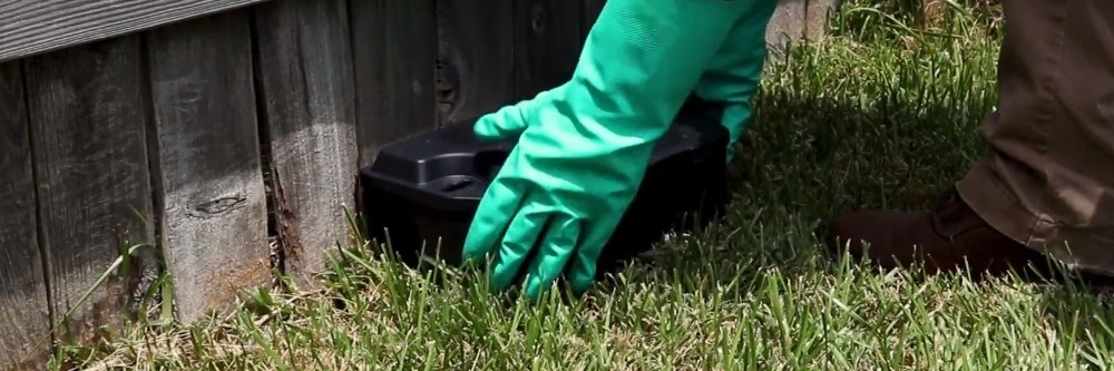 Bait Station Against Wall Bait Station Against Wall