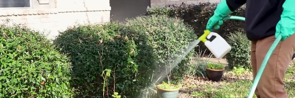 Spraying Cyonara RTU on Residential Bushes