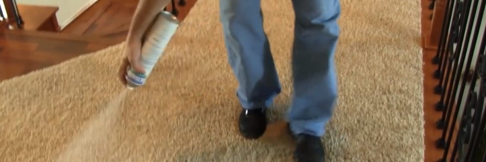 Applying Insecticide