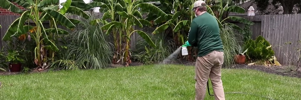 Spraying T-NEX PGR Over Turf