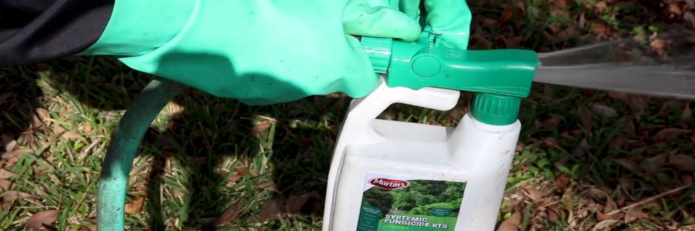 Turning on Systemic Fungicide RTS