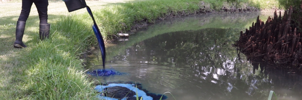 Vision pond pour
