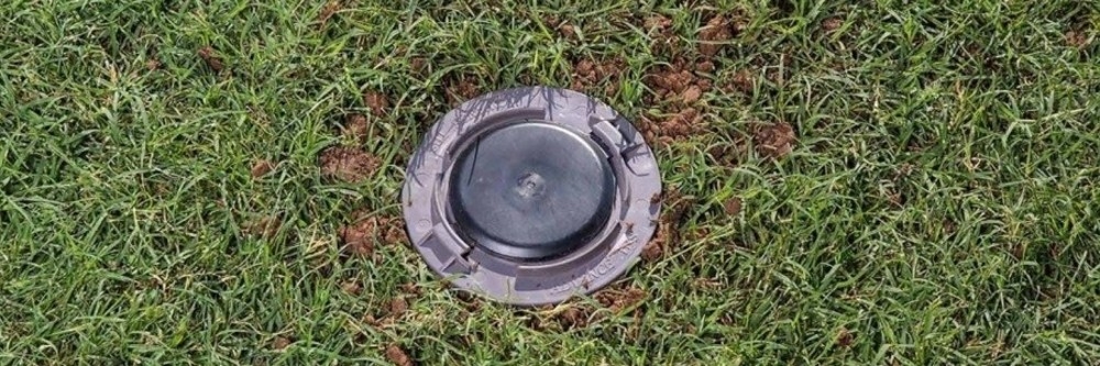 advance bait station