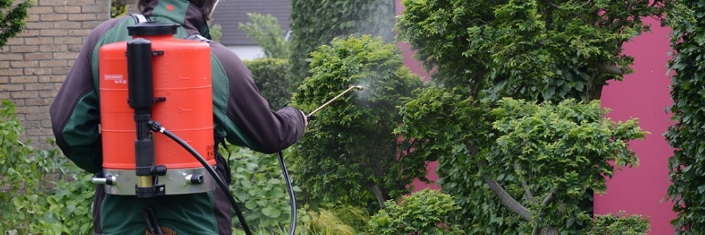 Birchmeier Backpack