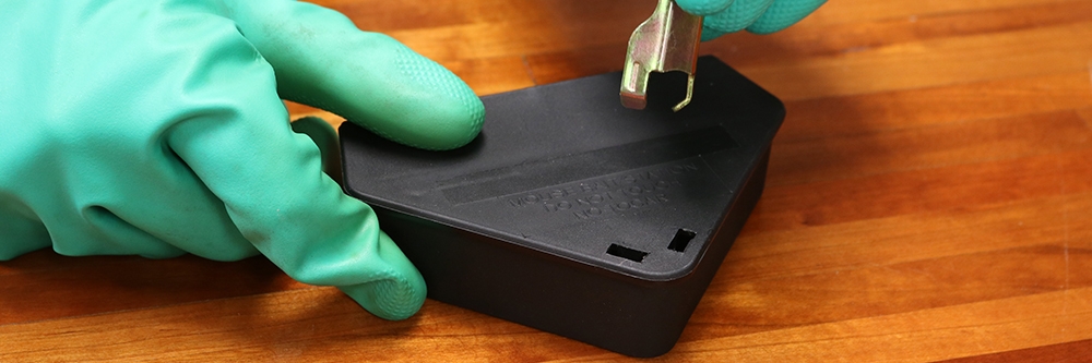 Inserting Key into Mouse Bait Station Inserting Key into Mouse Bait Station
